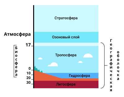 Физические факторы, влияющие на ритмичность передвижения