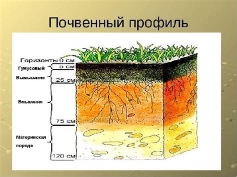 Физические характеристики тяжелых почв