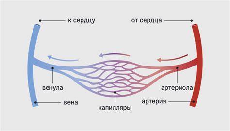 Физическое напряжение и лопающиеся капилляры