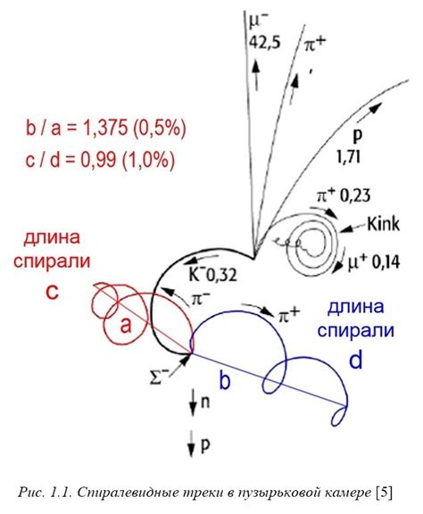 Философское значение вращения дервишей против часовой стрелки