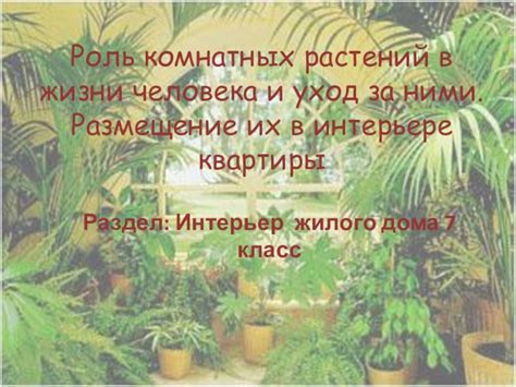 Финальный шаг за шагом: Размещение растений в кашпо и уход за ними