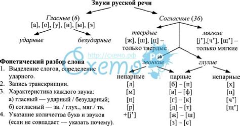 Фонетическая структура слова "ручьи"