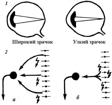 Фоновая активность