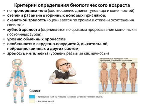 Форма тела и конечностей: добавочные критерии определения