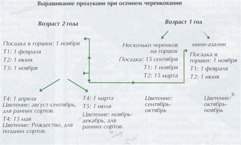 Формирование внешнего вида окарины