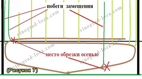 Формирование заклятин с петлей