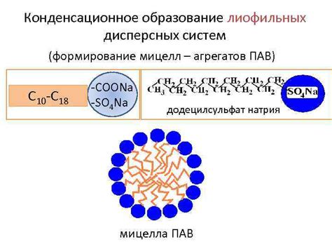 Формирование мицелл