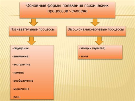 Формы современных фобий и их проявления