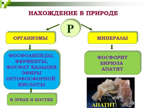 Фосфор: открытие, синтез, получение