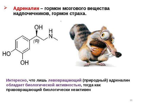 Функции гормона удовольствия