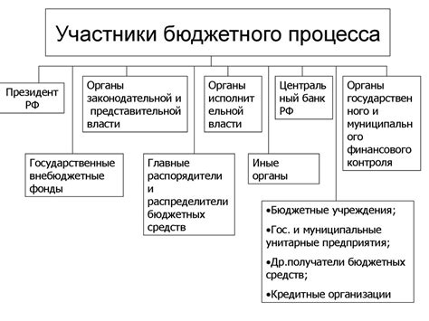 Функции государственного бюджетного процесса на практике