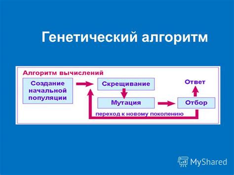 Функции и алгоритмы оптимизации