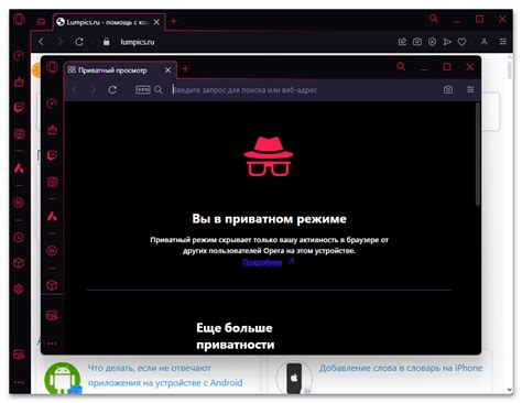 Функции и возможности режима инкогнито в опере ДХ