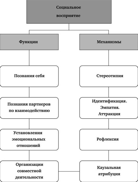 Функции и механизмы