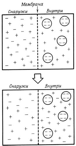 Функции составных ионов