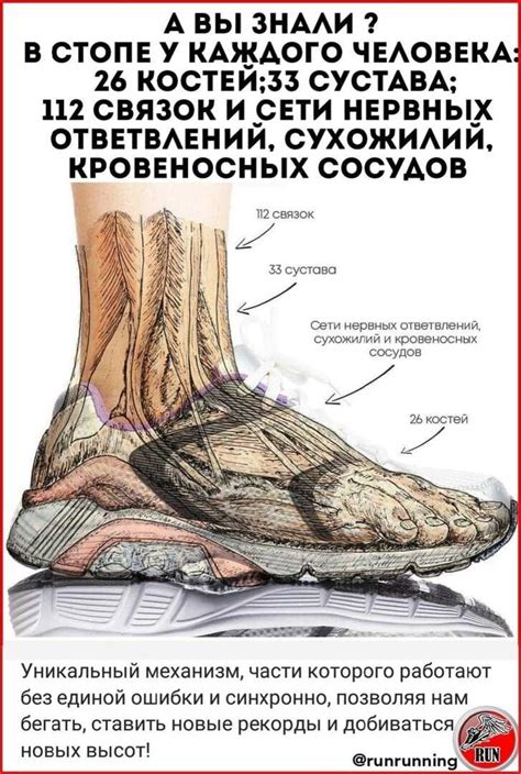 Функции фан стопа и причины для его отключения