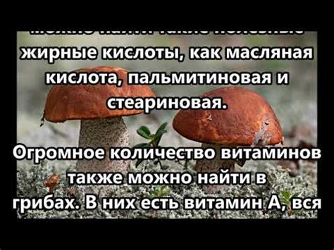 Функции хитина в грибах