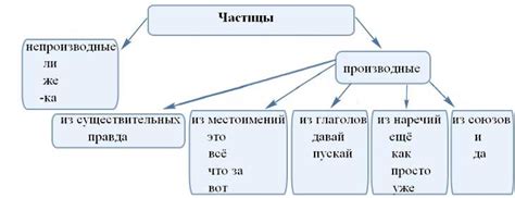 Функции частицы "не"