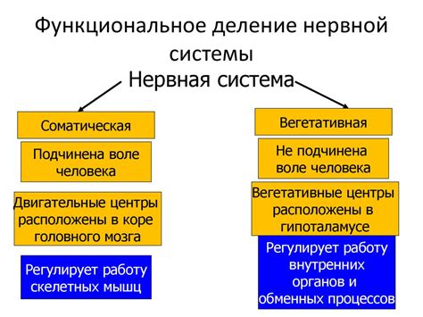 Функциональное значение