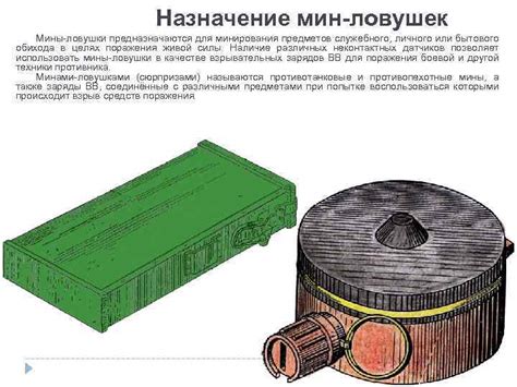 Функциональное назначение мины йорэгенне