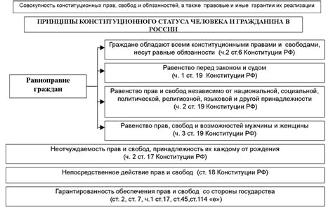 Функционирование и правовой статус