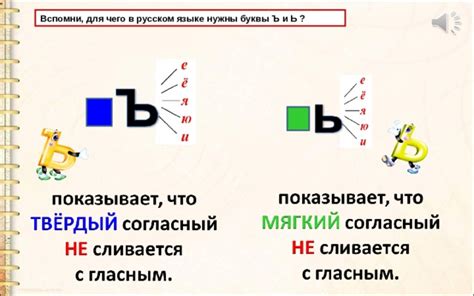 Функция буквы Ь в русском языке