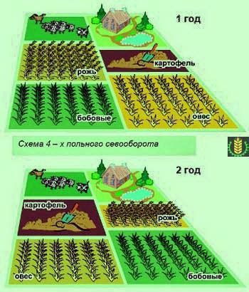 Функция севооборота