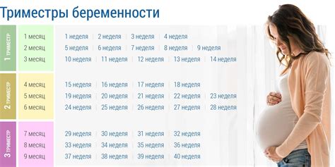 Характеристики состояния организма беременной в последний месяц