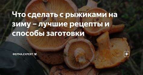 Химические методы борьбы с рыжиками на Гранте: безопасность и эффективность