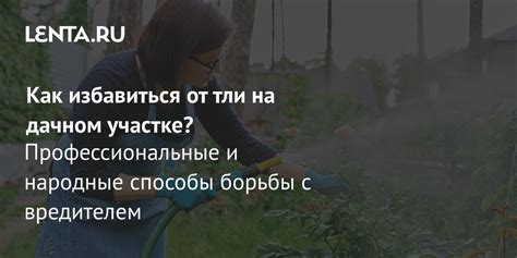 Химические методы борьбы с шиповником