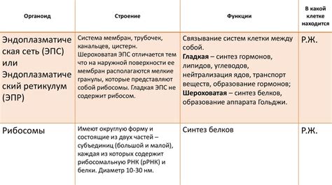 Химический процесс и его особенности