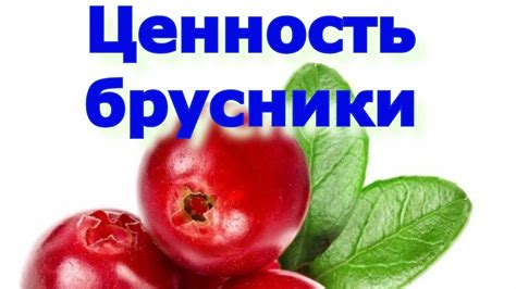 Химический состав брусники