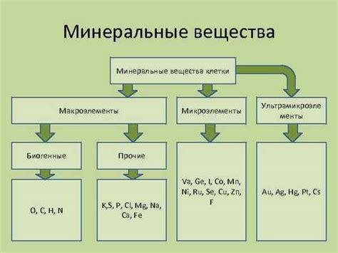 Химический состав грунта и минеральные особенности