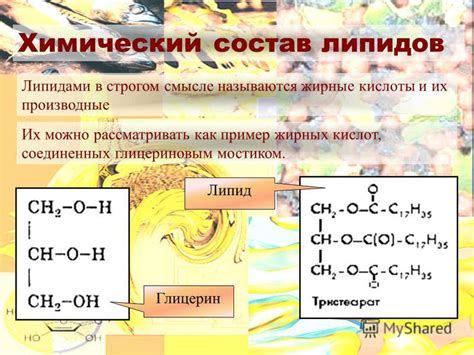 Химический состав и свойства липидов