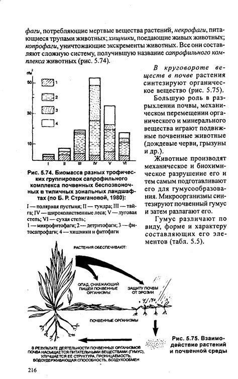 Химическое взаимодействие растений в сосновом лесу и сонливость