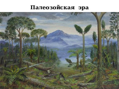 Хитрость природы: отражение на геологическую историю