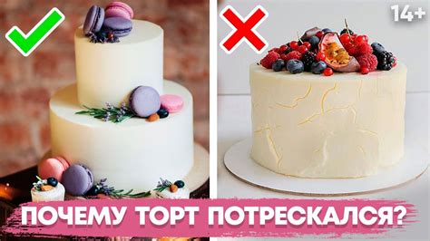 Хранение и сервировка торта