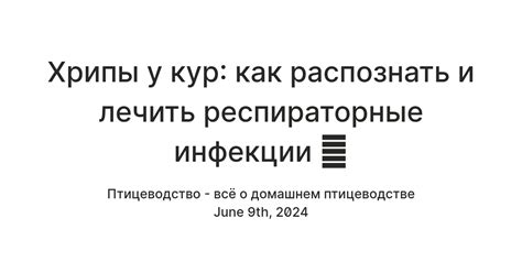 Хрипы у кур как признак респираторных заболеваний