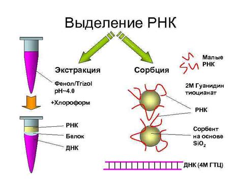 Хроматографические методы анализа ДНК и РНК