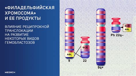 Хромосома MC1R и ее связь с болезнью