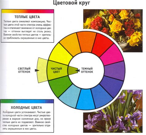 Цветовой круг во флористике