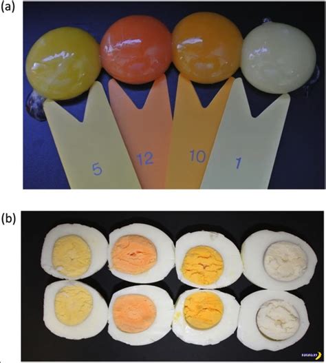 Цвет желтка яиц и его причины