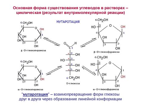 Циклические реакции глюкозинолатов