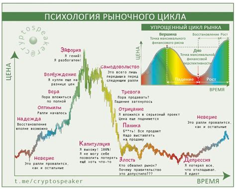 Цикличность рынка