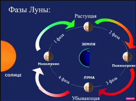 Циклы луны в календаре