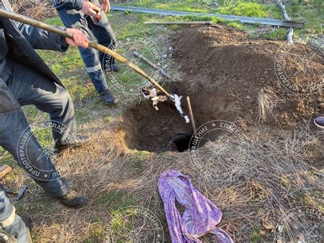 Частое использование выгребной ямы приводит к заполнению