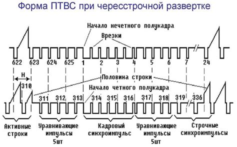 Частота смены бинта на гипсе