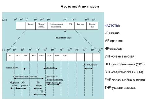 Частотный диапазон и важность высоких и низких частот