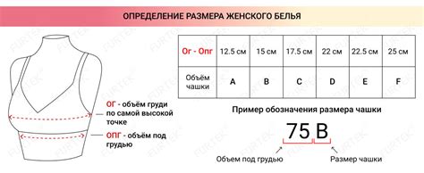 Часто задаваемые вопросы о размерах одежды