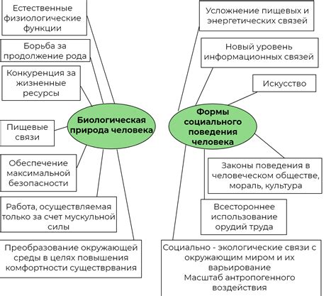 Человек как биосоциальный вид